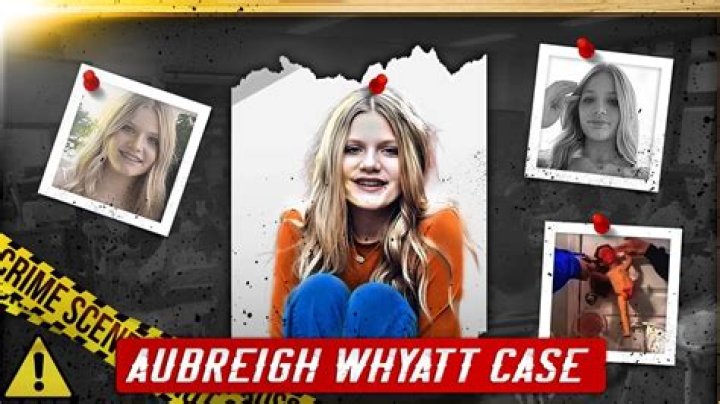 A Deeper Look Into Aubreigh Wyatt Crime Photos