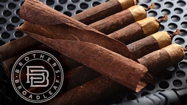Candy Blunts: The Sweet Revolution In Smoking Culture