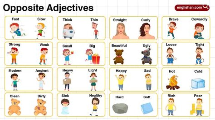 Discovering The Antonym For Endeavor: A Deep Dive Into Effort And Its Opposites