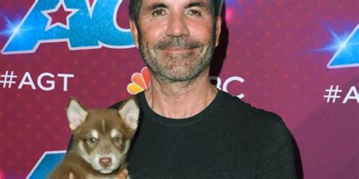 Discovering The Furry Companion: Simon Cowell's Dog Name