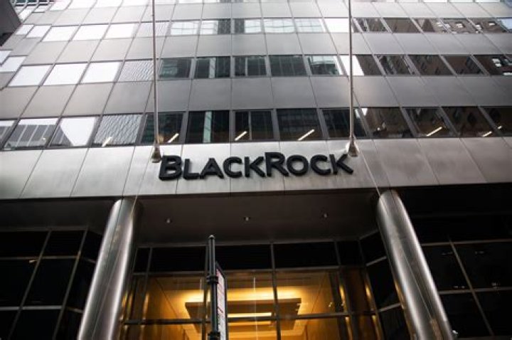 Exploring The Black Rock Company: A Leader In Investment Management