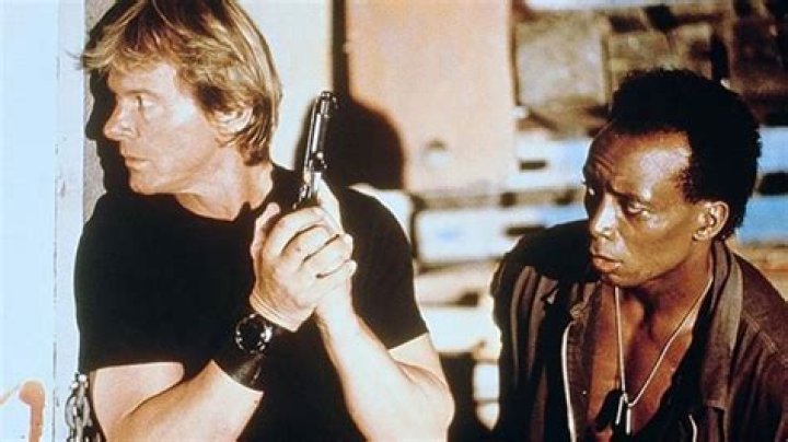 Exploring The Cinematic Legacy Of Roddy Piper Movies