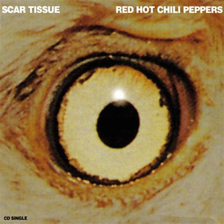 Exploring The Depths Of "Scar Tissue" By Red Hot Chili Peppers