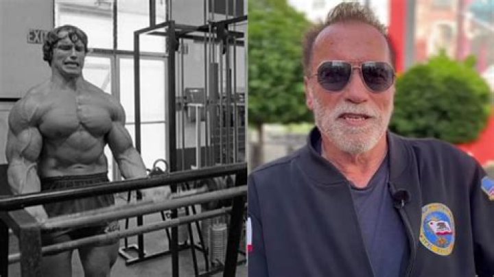 Exploring The Life And Legacy Of Gustav Schwarzenegger