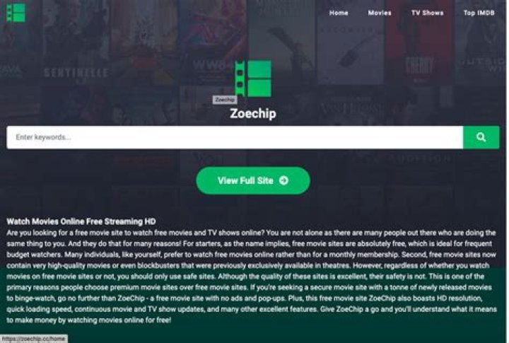 Exploring The Unique World Of Zoe Chip.com