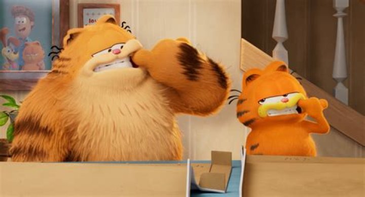 Exploring The World Of Garfield Movies: A Feline Adventure