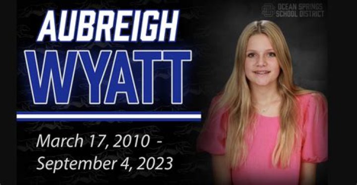 Law For Dummies: The Legal Expertise Of Aubreigh Wyatt