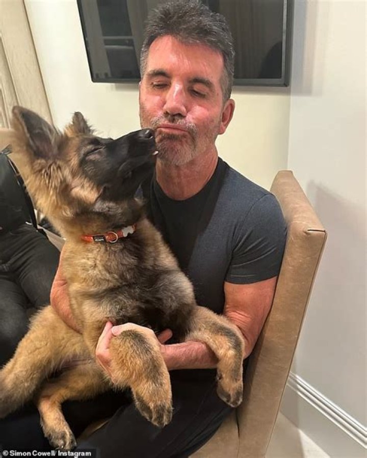 Simon Cowell's New Dog: A Paw-some Addition To His Life