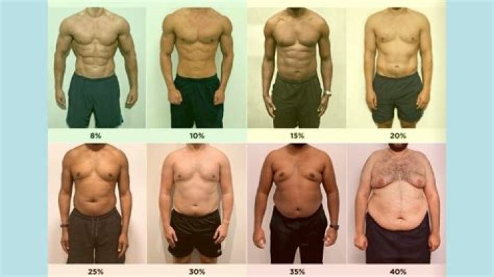 Taylor Swift's Body Fat Percentage: The Truth Revealed