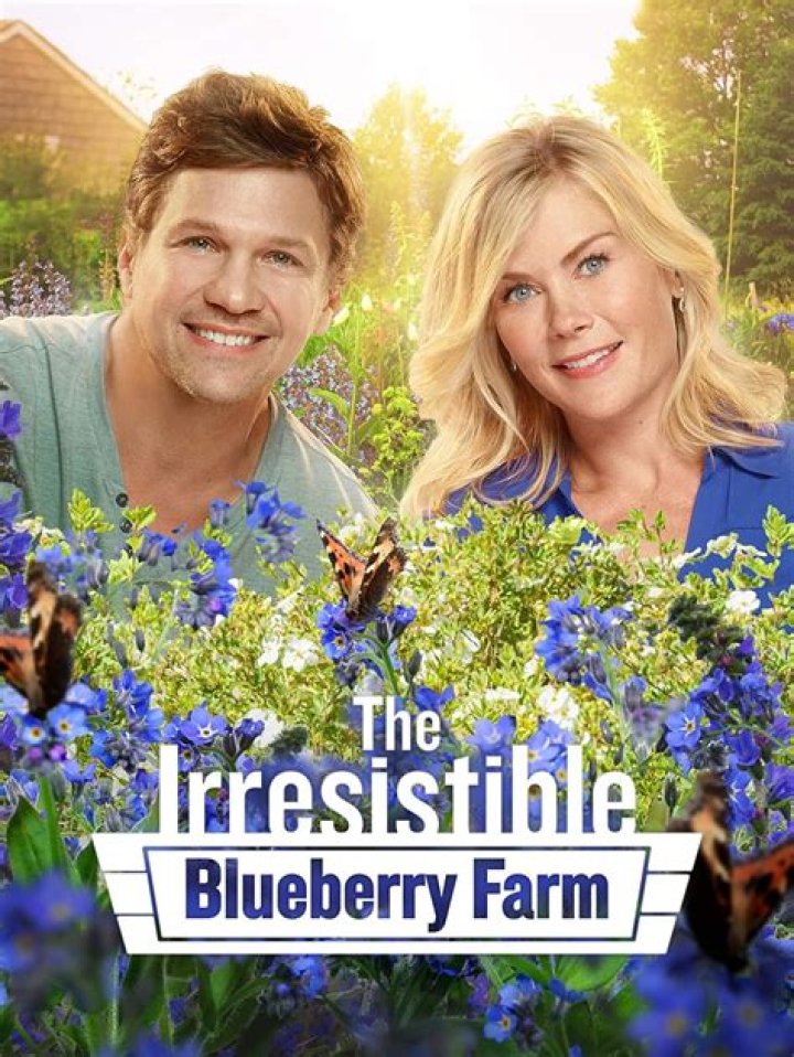 The Enchanting World Of The Irresistible Blueberry Farm Cast