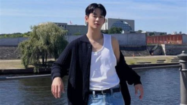 The Enigmatic Wealth Of Kim Soo Hyun: Unveiling His Net Worth