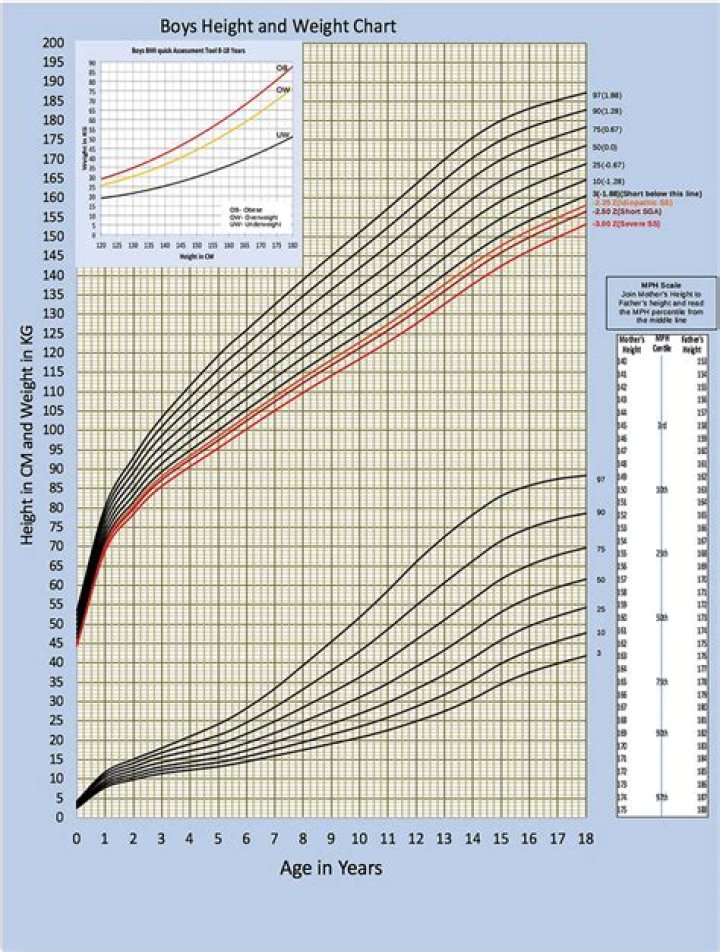 Tylena's Stature: Exploring Height And Weight Statistics