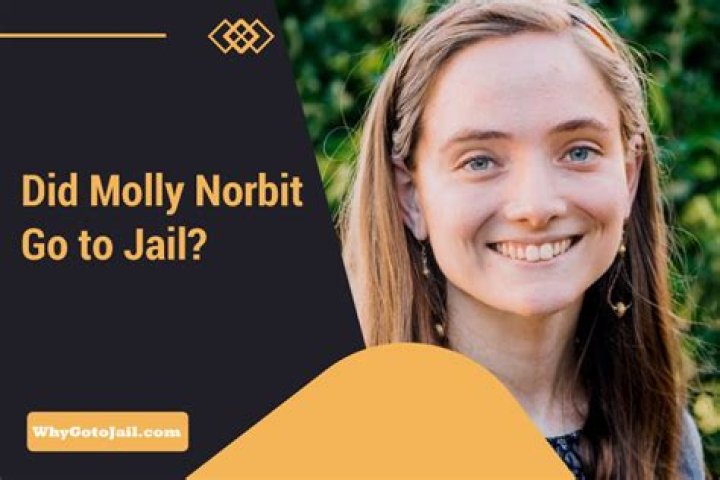 Uncovering The Truth: Molly Norbit's Legal History Explored