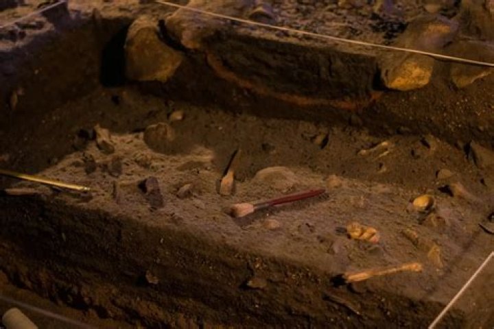 Unearthing The Mystery Of Sophie Rain Of Leak