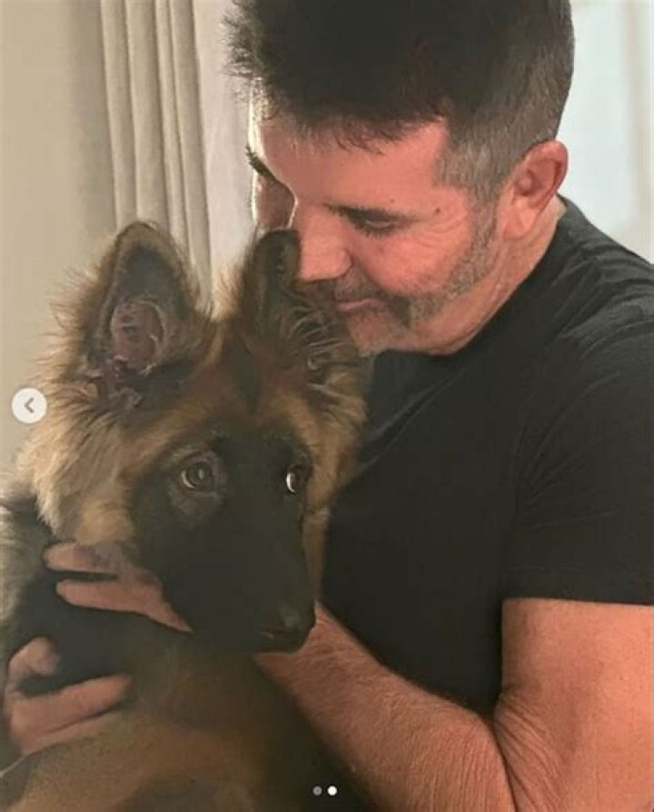 Unleashing The Love: Simon Cowell's German Shepherd