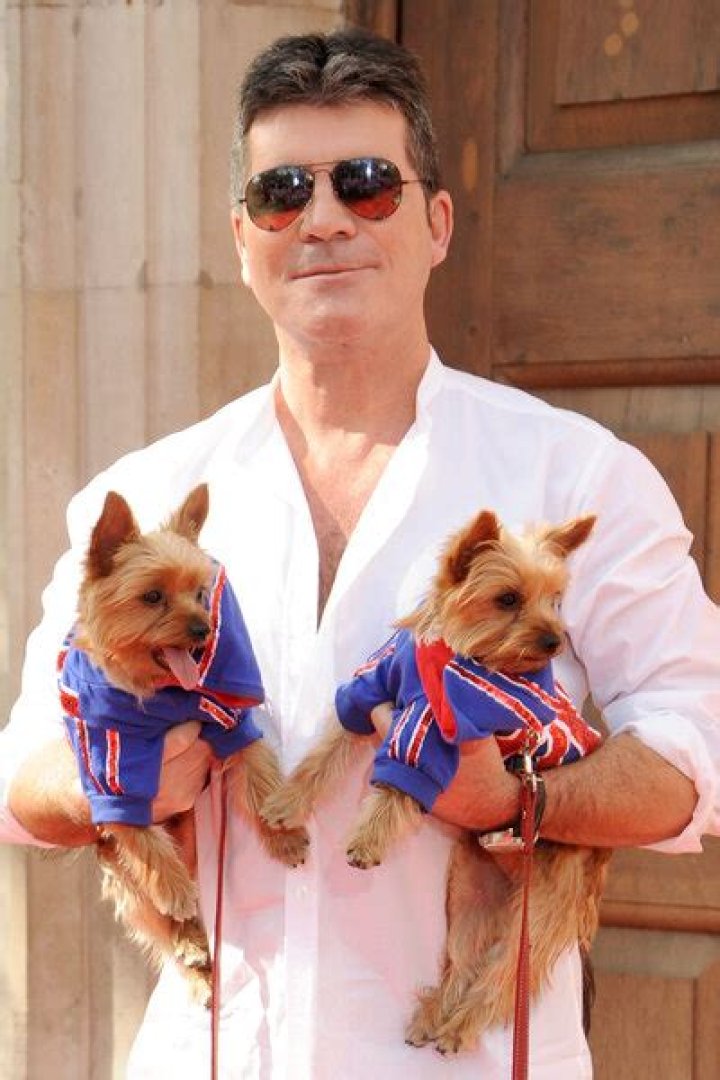 Unleashing The Love: The Fascinating World Of Simon Cowell's Dogs