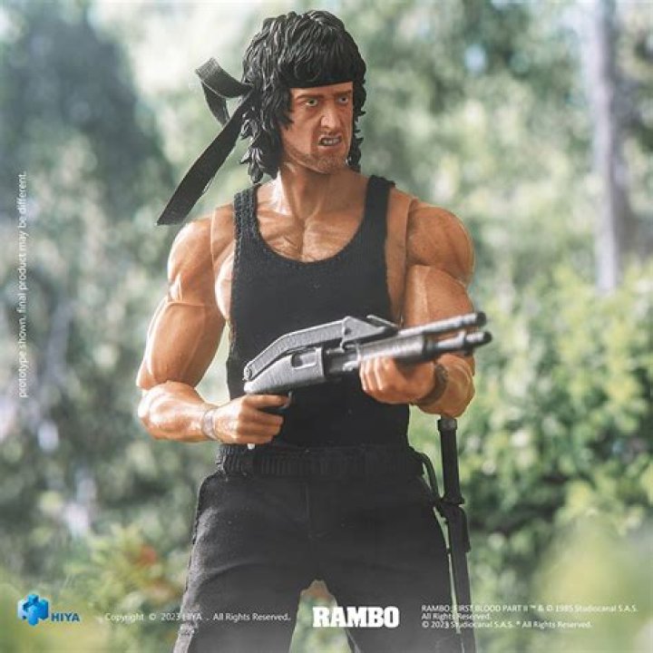 Unleashing The Power Of Rambo Hair: A Journey Through Style And Iconography