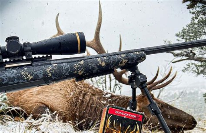 Unraveling The Excitement Of Deer Rifle Season In Missouri