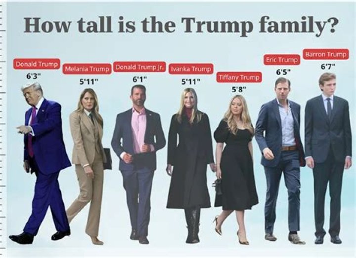 Unveiling The Dimensions: Fred Trump Height And More