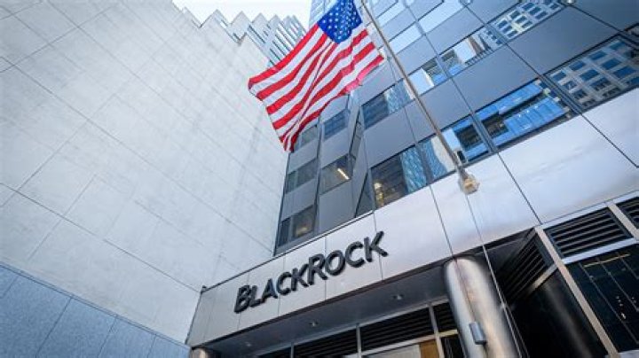 Unveiling The Influence Of The BlackRock CEO