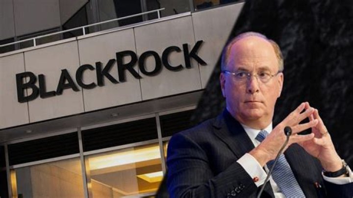 Unveiling The Visionary: BlackRock CEO Larry Fink
